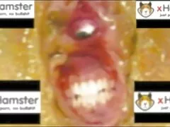 Approssimativamente prendi il corpo della padrona per film erotici di lesbiche colazione