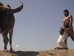 Portato a casa e scopata dopo pompino in macchina video erotici giovani